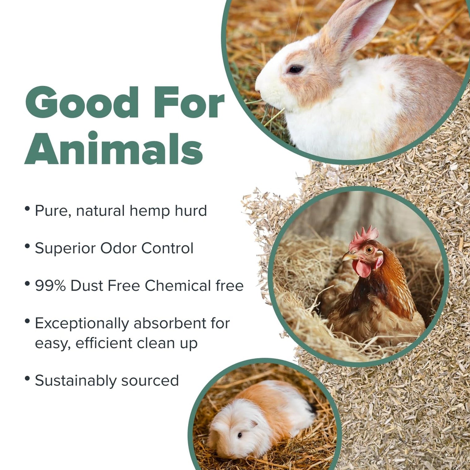 Breathe Easy with All Walks Hemp Bedding: Clean, Comfortable, and Virtually Dust-Free