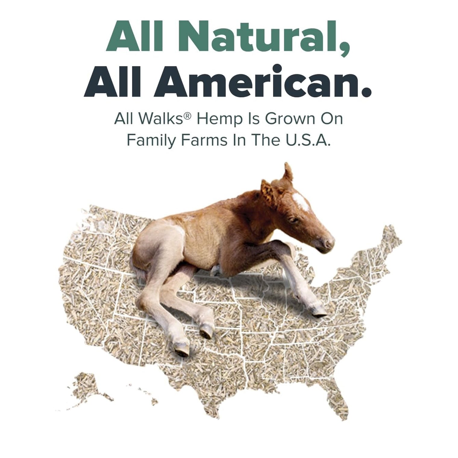 Compostable All Walks Hemp Bedding: For Healthier Animals and Soil