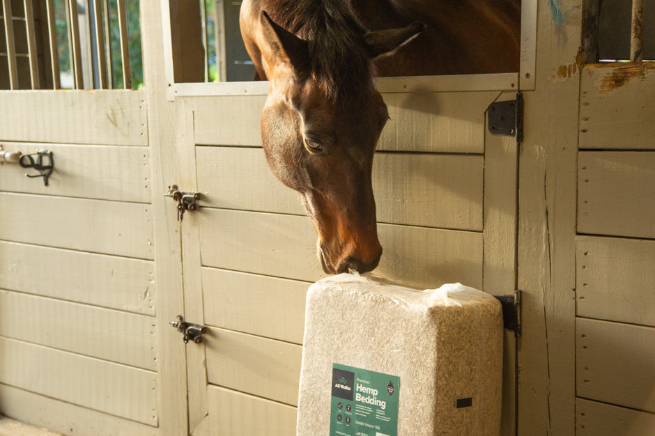 A horse sniffing a 150 lb. bag of All Walks Hemp Bedding. 