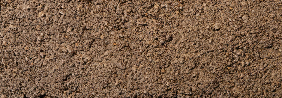 A detailed image of topsoil. 