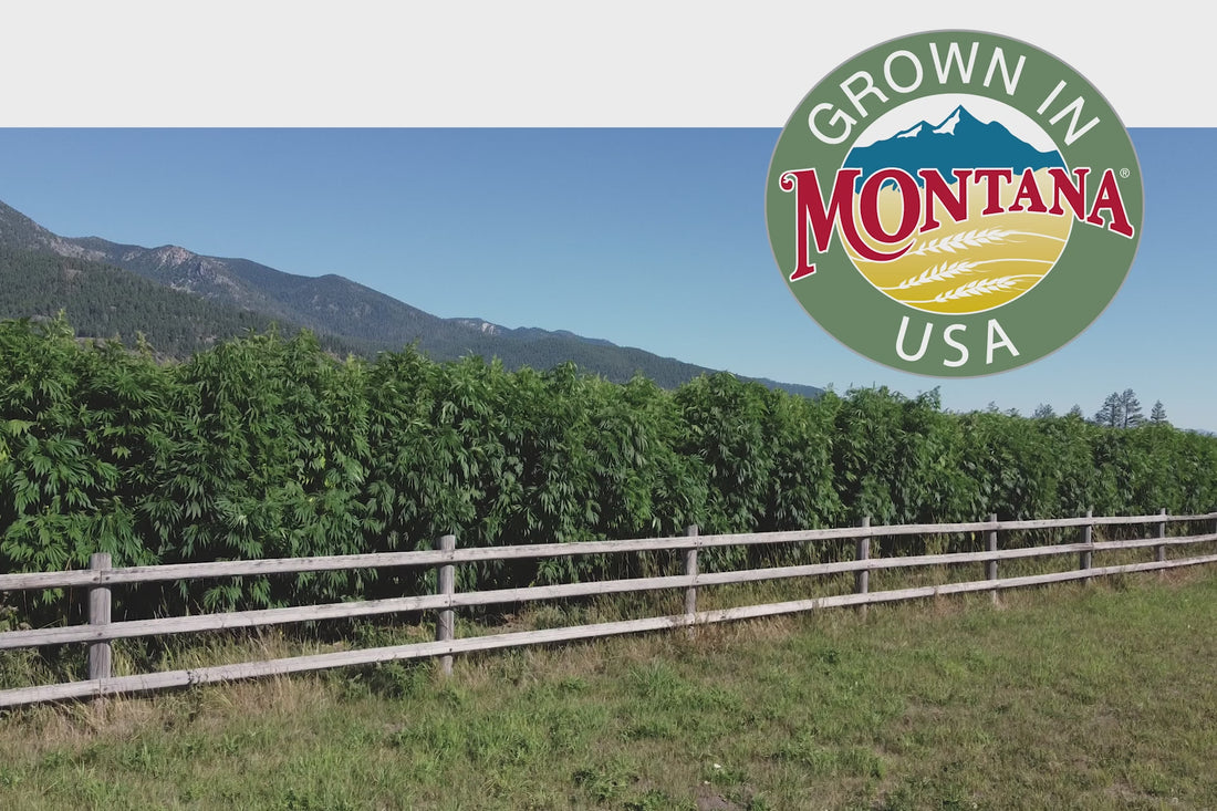 Grown in Montana, USA, promotional video. 