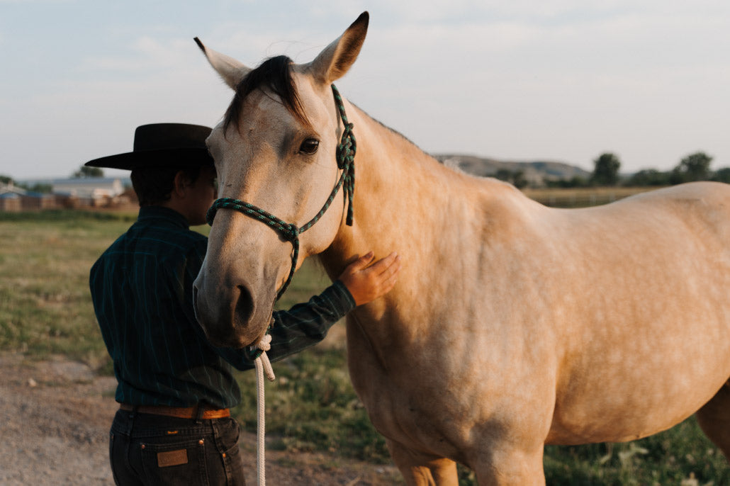 A cowboy and his horse. 