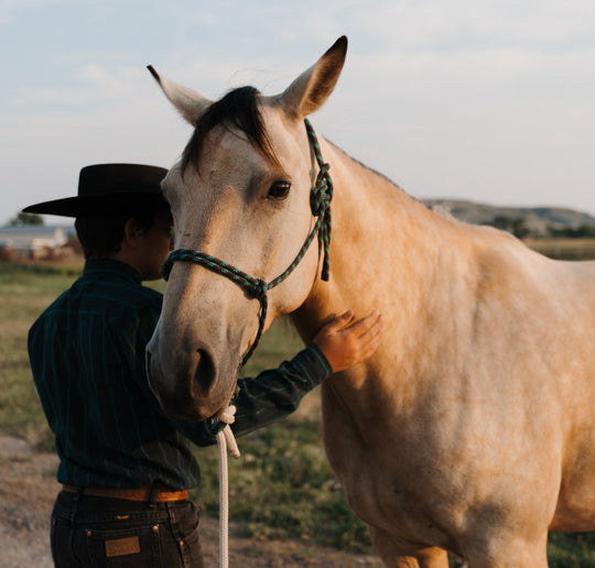 A cowboy and his horse. 